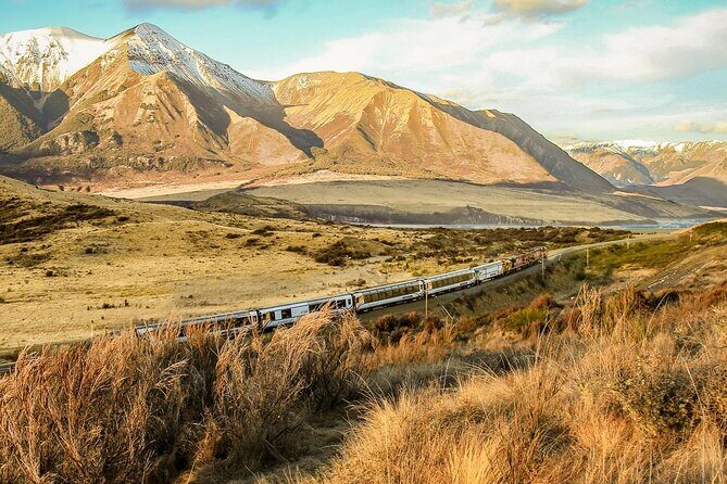Arthur's Pass Discovery and TranzAlpine Train - Small Group Tour - Wrapping It Up