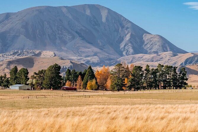 Arthurs Pass Private Day Trip from Christchurch with Castle Hill - Who Will Love This Tour?