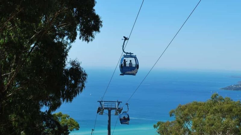 Arthurs Seat Eagle: Scenic Gondola Ride - A Closer Look at the Gondola Experience