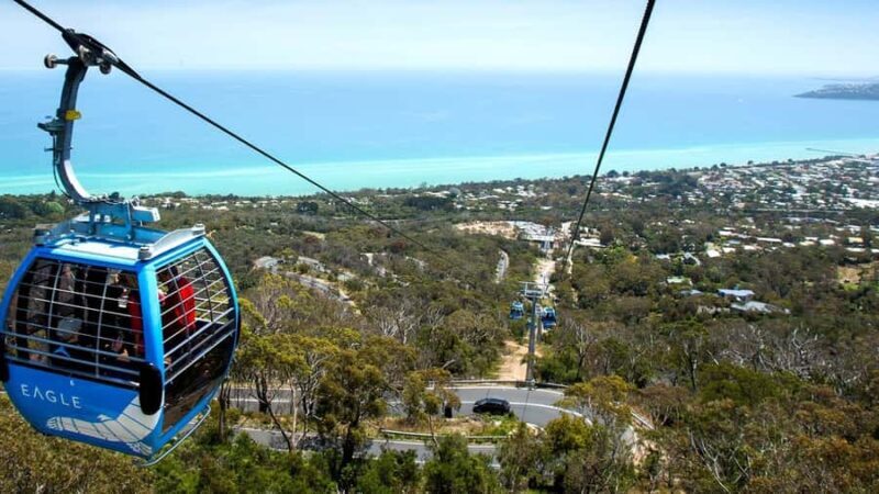 Arthurs Seat Eagle: Scenic Gondola Ride - The Practicalities: What You Need to Know
