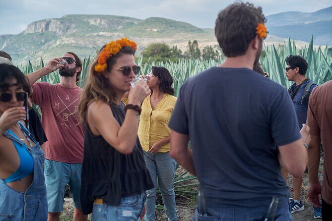 Artisanal Mezcal Culture Tour for Tasting and History - The Practical Side: Tips & Considerations