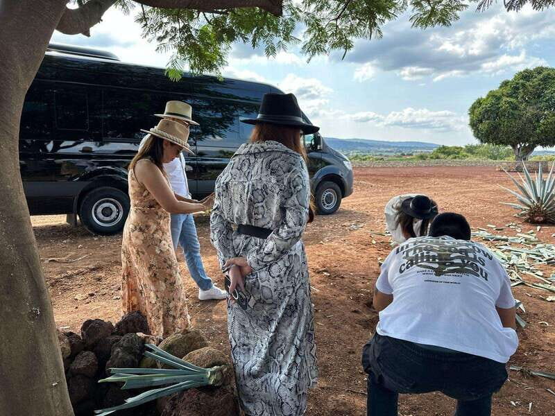 Artisanal Tequila Experience in Private Luxury SUV Local - Key Points