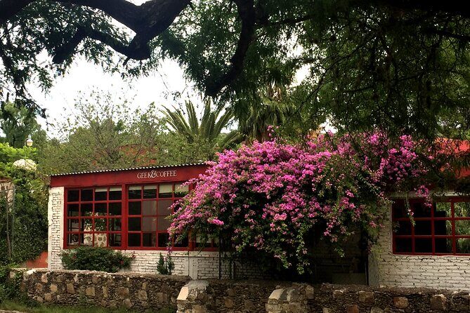 Arts and Snacks Walking Tour with Taste of San Miguel - Final Thoughts: Is This Tour Right for You?