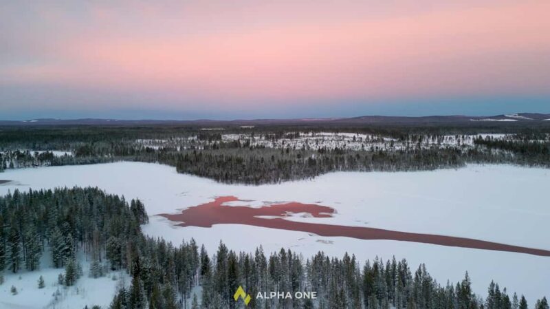 Arvidsjaur: 1,5-Hour Guided Snowmobile Adventure - What Travelers Say About This Snowmobile Adventure