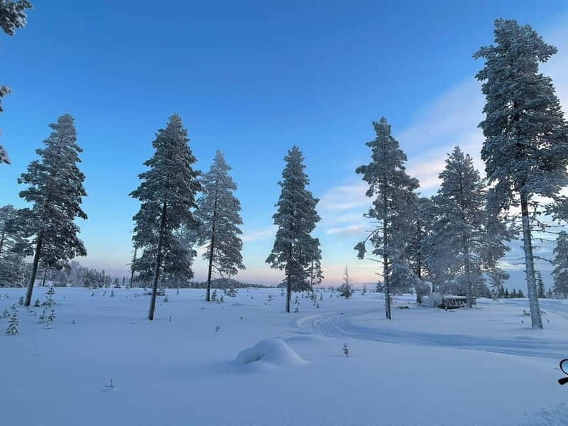 Arvidsjaur: 4-hour custom snowmobile tour in Swedish Lapland - Final Thoughts