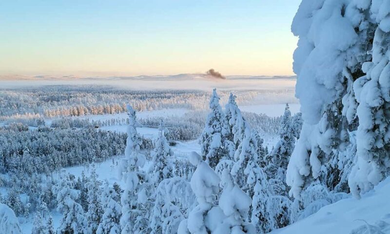 Arvidsjaur: 5-Hour Guided Snowmobile Adventure - Who Is This Tour Best For?