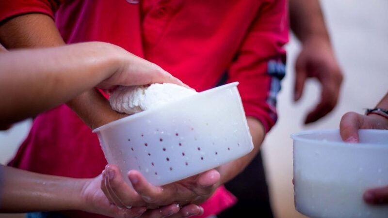 Arzana: Day with a shepherd w/ lunch in a farm - Final Thoughts