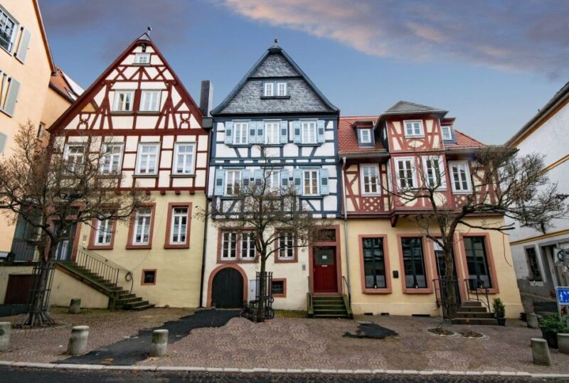 Aschaffenburg: Private Guided Walking Tour - Price and Value