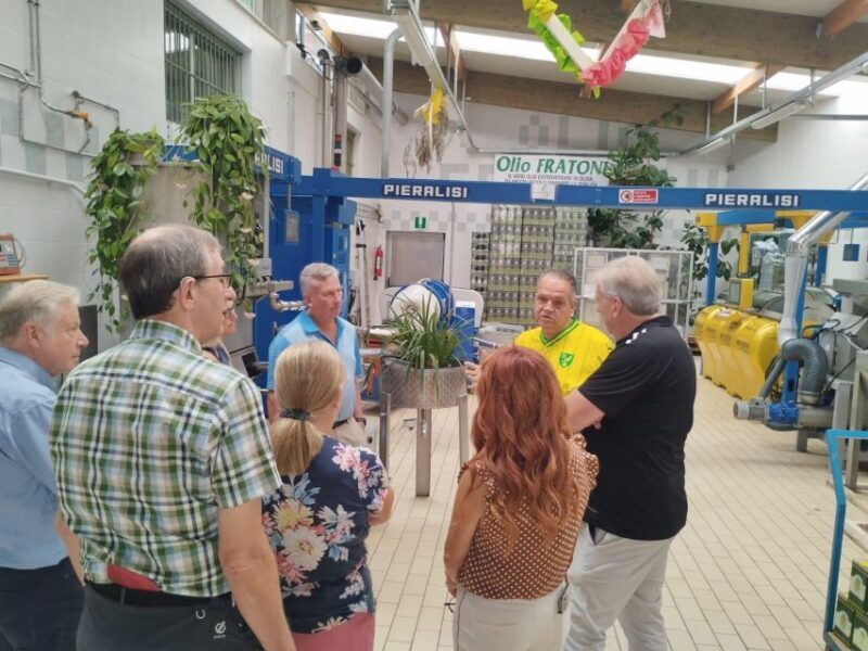 Ascoli Piceno: Olive Oil Tasting with local products - Who Should Consider This Tour?