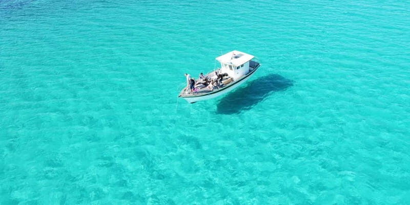 Asinara by Boat: Half-Day Morning Tour among crystal clear waters - What the Tour Entails: Breaking Down the Experience