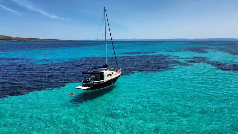 ASINARA: motorboat tour of the island park, aperitif, lunch on board. - The Practicalities and Considerations