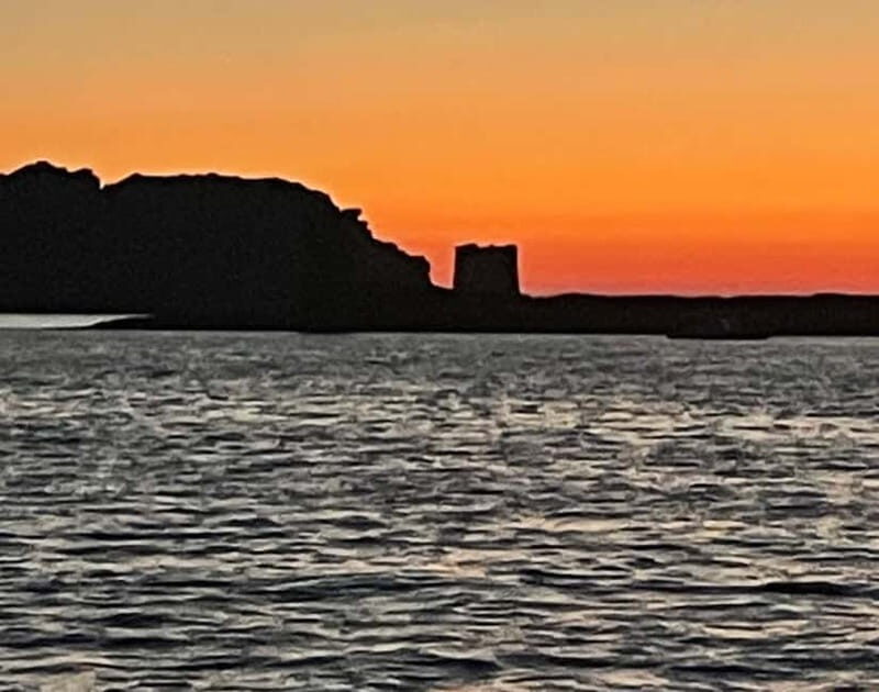 ASINARA: motorboat tour of the island park, aperitif, lunch on board. - Value for Money