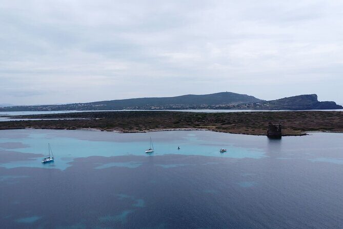 Asinara: Sailing trip in the park of Asinara - Who Should Consider This Tour?
