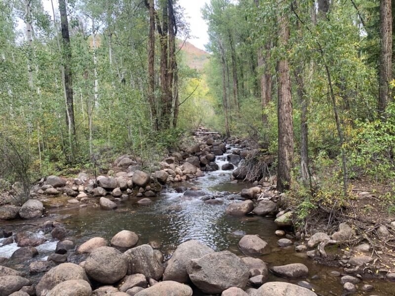 Aspen: Guided Light Hike with Roaring Fork River Views - Why This Tour Stands Out