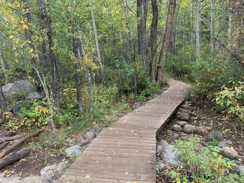 Aspen: Guided Light Hike with Roaring Fork River Views - The Reviews Say It All