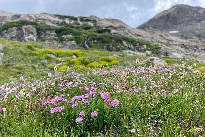 Aspen via Independence Pass Private Colorado Adventure Tour - The Sum Up