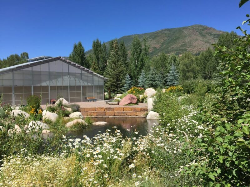 Aspen's Off the Beaten Path Scenic Walking Tour - Key Points