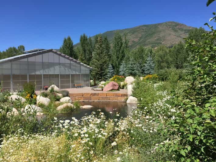 Aspen's Off the Beaten Path Scenic Walking Tour - What to Expect from Your Aspen Walking Tour