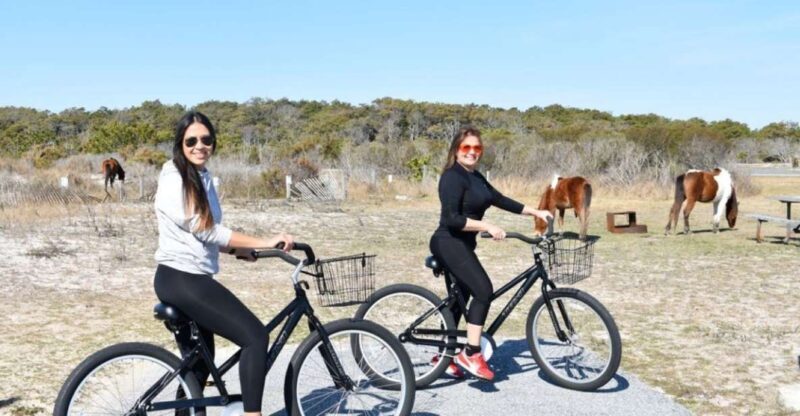 Assateague Island: Bike Rental from the Bayside Stand - Final Thoughts: Is This the Right Choice for You?