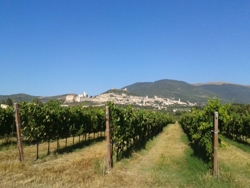 Assisi Rental Vespa '125cc - full day - The Day in Detail