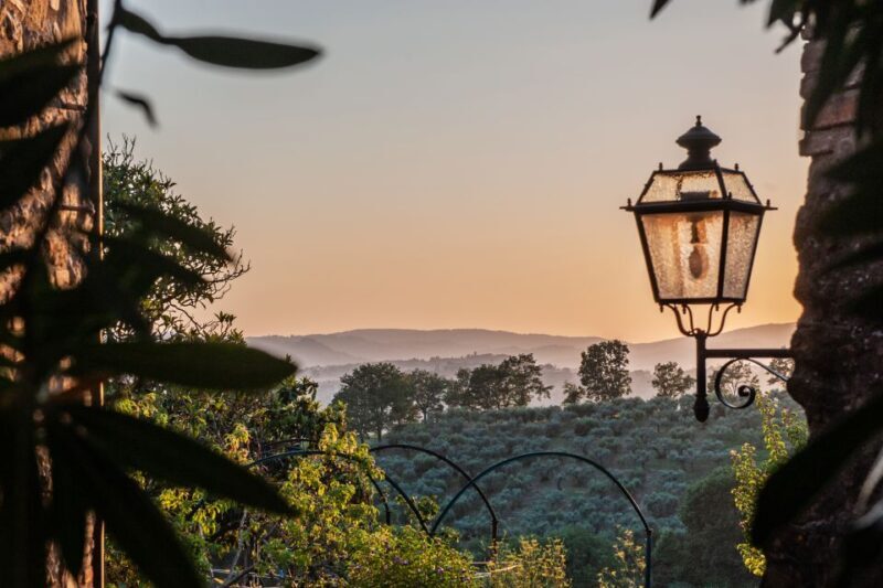 Assisi: Walking Tour with St. Francis Basilica Visit - Final Thoughts