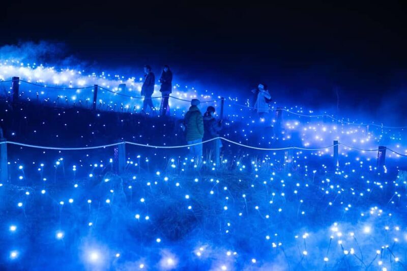 Astra Lumina Entry at Currumbin Wildlife Sanctuary - Who Should Consider Astra Lumina?