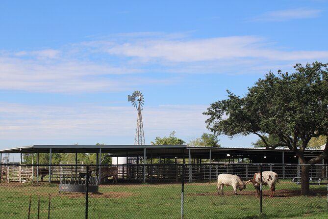 Astroville Round-Trip Shuttle Transportation to NASA Space Center - Who Should Consider This Tour?