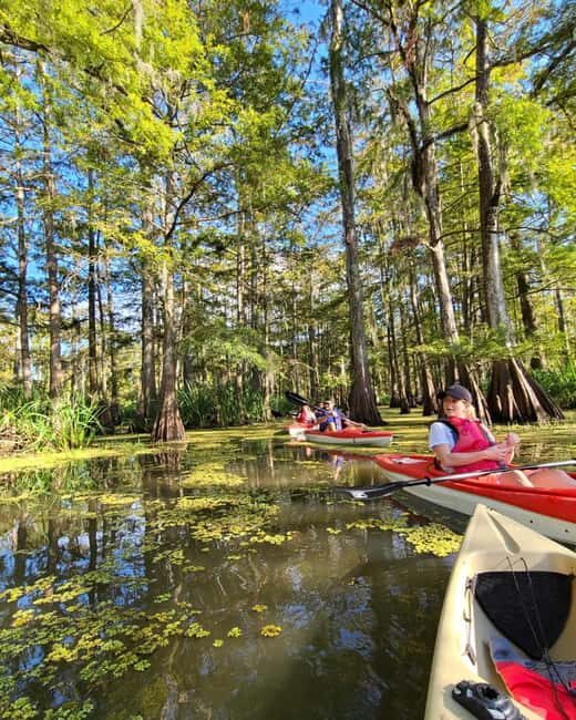 Atchafalaya Basin: 2.5 Hr. Guided Kayak Tour - Key Points
