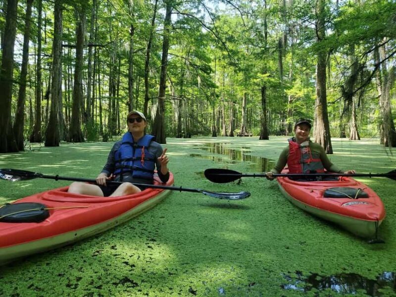 Atchafalaya Basin: 2.5 Hr. Guided Kayak Tour - Why Choose the Atchafalaya Basin Kayak Tour?
