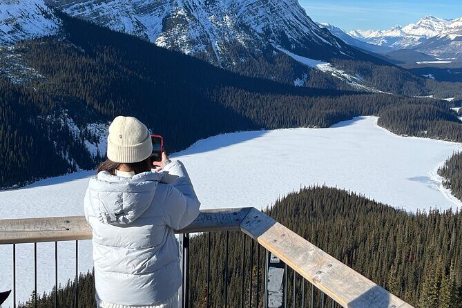 Athabasca Falls/Abraham,Sunwapta Falls,Icefield & Peyto Lake Tour - Who Is This Tour Best For?