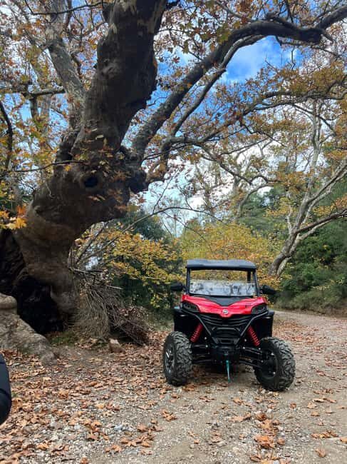 Athens Adventure Tour in Parnitha Mountain with 1000cc Buggy - The Experience in Detail: What to Expect