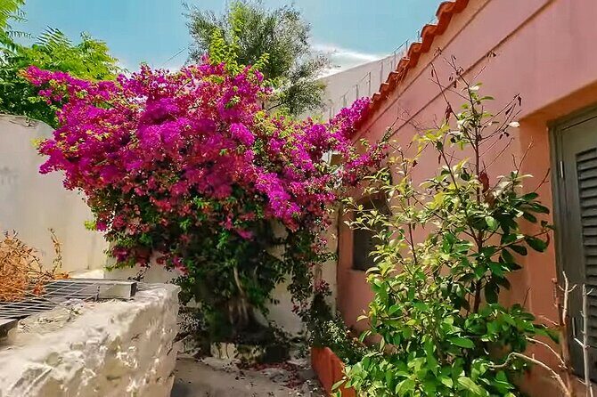 Athens Beauty 4h Private Walking tour - What to Expect from the Athens Beauty 4-Hour Private Walking Tour