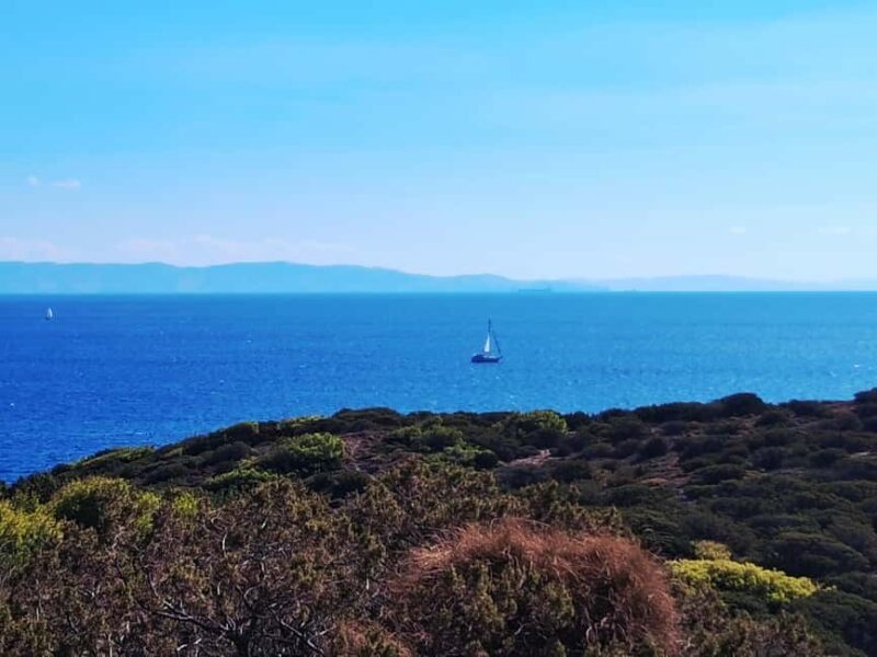 Athens: Cape Sounio & Temlpe Poseidon Swimming & Sunset Tour - final thoughts