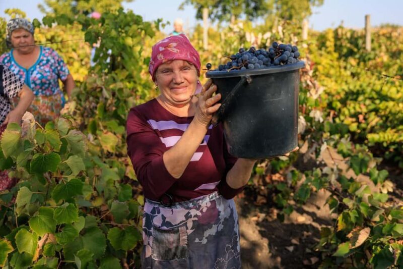 Athens: Cape Sounion Sunset and Wine Tasting Tour - What to Expect from This Tour