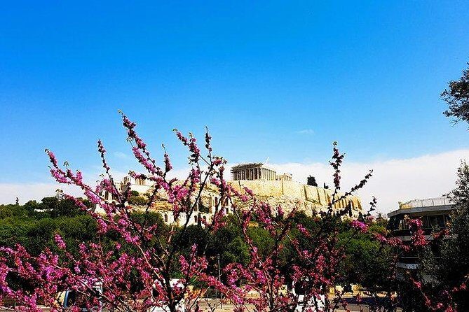 Athens city private tour - Detailed Site Highlights
