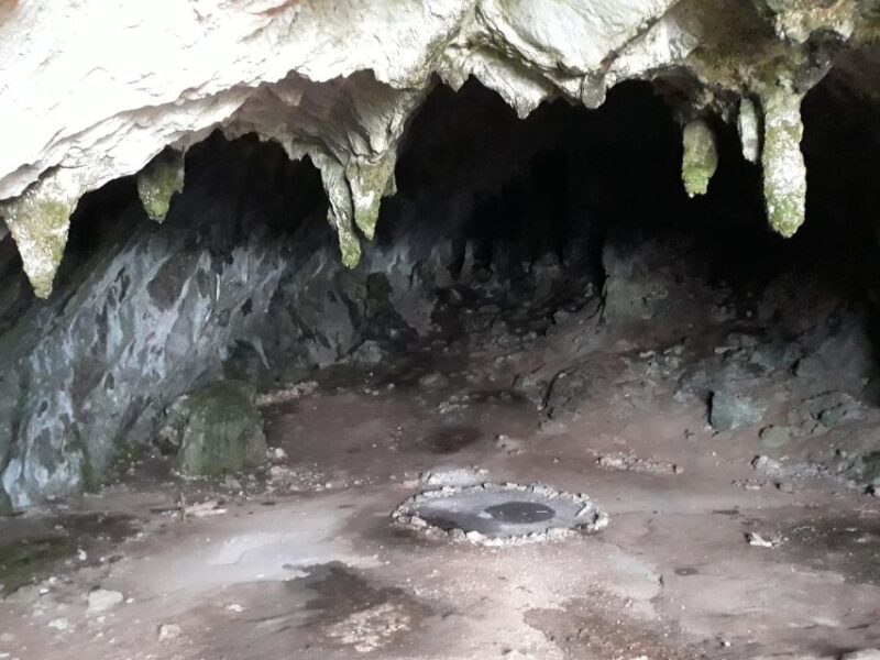 Athens: Delphi, Corycian Cave, and 300 Battlefield Day Trip - Who Will Love This Tour?