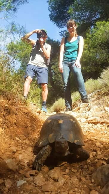 Athens Historical Hiking with Lunch - Why This Tour Might Be the Right Choice for You