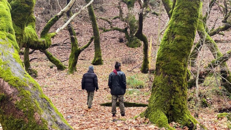 Athens: Kalavryta UNESCO Global Geopark & the Cave of Lakes - FAQs