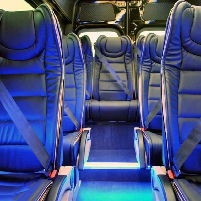 Athens Sightseeing Half Day VIP Minibus Tour (Private tour) - FAQs