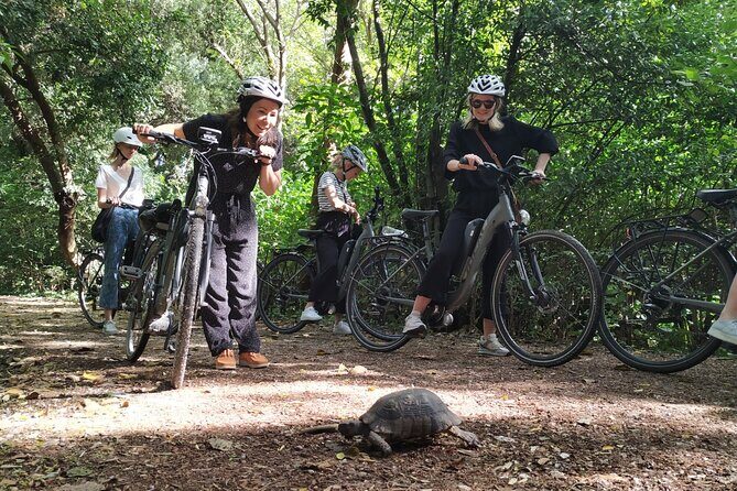 Athens Small Group E-Bike Tour - Who Should Book This Tour