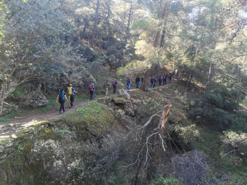 Athens Sunset Hike - The Experience’s Pros and Cons