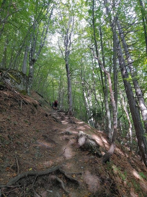 Athens to Mount Olympus: 2 days private tour - Analyzing the Price and Value