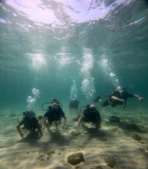 Athens: Try Scuba Diving - A Realistic Look at the Itinerary