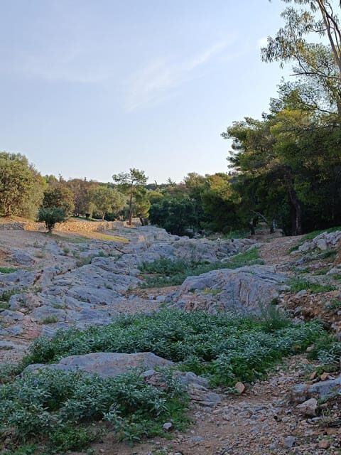 Athens Western Hills Guided Walking Tour - FAQs