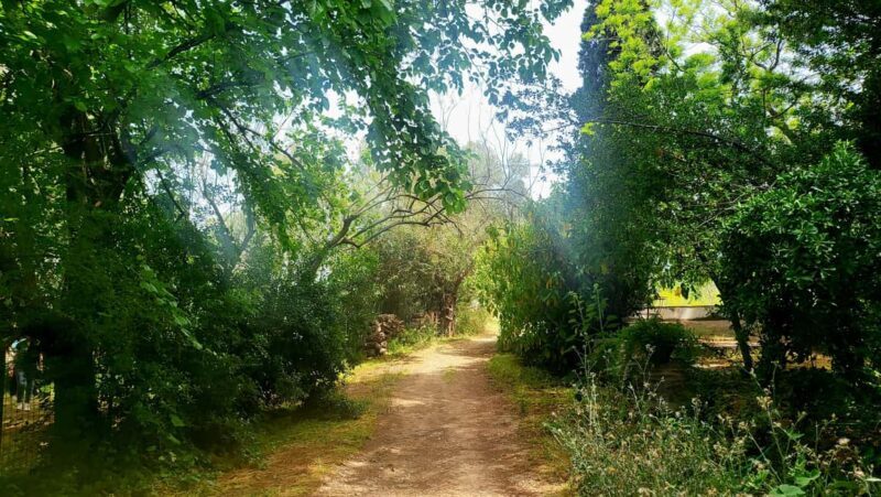 Athens Wine Experience & Sunset Escape - What’s Worth Highlighting