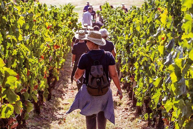 Athens Wine Tour - An Outstanding Full Day Experience For Dedicated Winelovers - An Introduction to Greece’s Attica Region