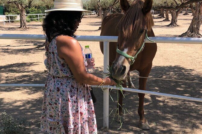 Athens Wine Tour - An Outstanding Full Day Experience For Dedicated Winelovers - Is It Worth the Price?