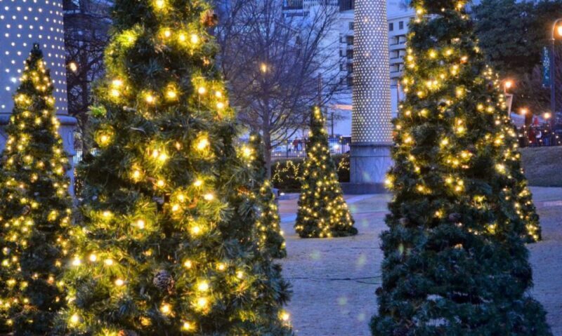 Atlanta: Christmas Private Walking Tour - A Closer Look at the Tour