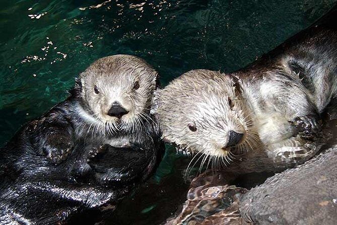 Atlanta CityPASS® - Final Thoughts