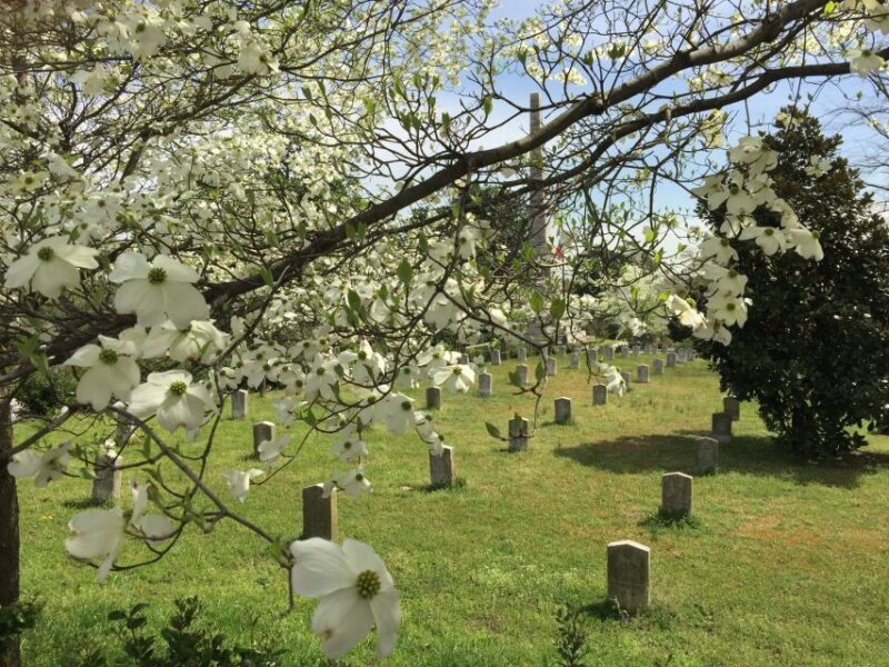 Atlanta: From Civil War to Civil Rights Private Tour - The Charm of Cabbagetown and Grant Park